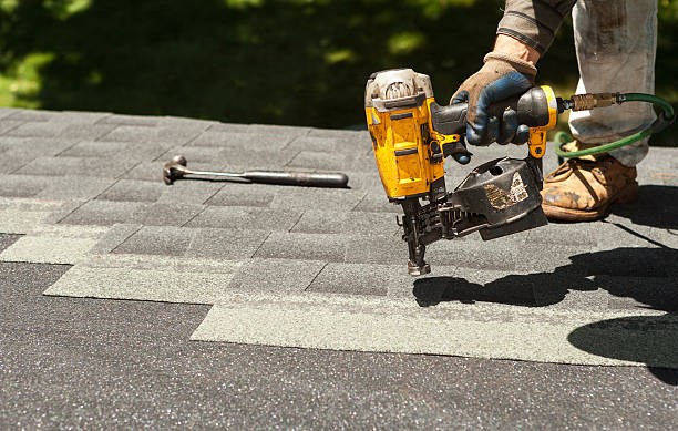Best Roof Gutter Cleaning  in Ripley, TN
